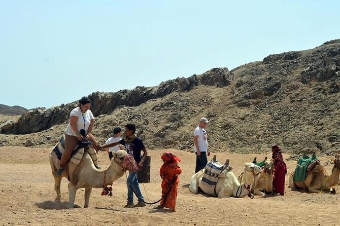 5 Hours Safari Trip Bugy Atv Jeep Camels Bedween BBQ and Show Super Safari - Participant Guidelines