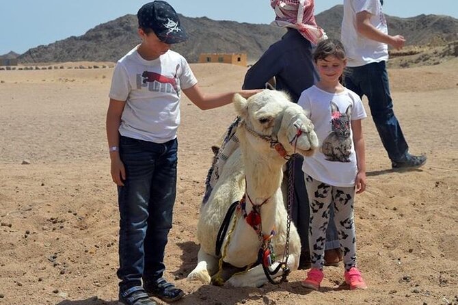 5 Hours Safari Trip Bugy Atv Jeep Camels Bedween BBQ and Show Super Safari - Frequently Asked Questions