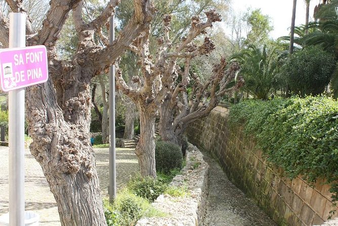 5-hours Tour: Mallorca Inland Charming Villages - Common Questions