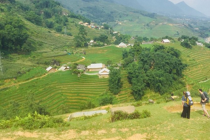 5 Hours Trekking With Terraced Rice Field in Sapa - Pricing and Booking Information