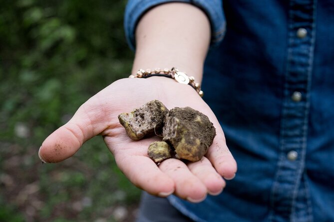 5 Hours Truffle Hunt Experience With Cooking Class - Additional Information