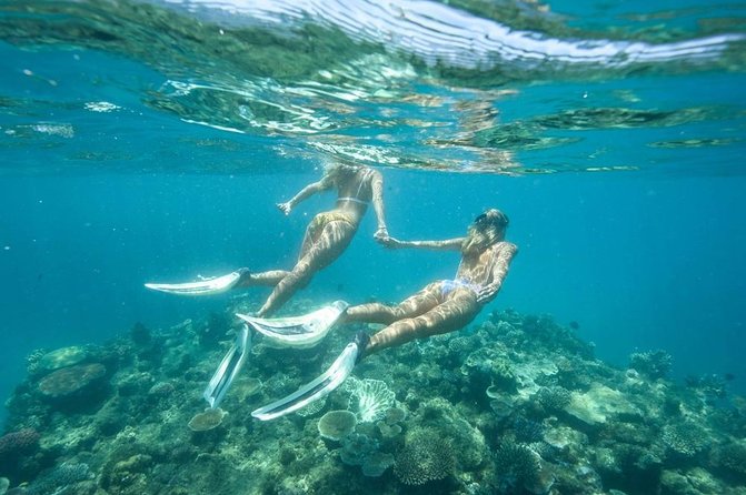 5-in-1 Adventure in Cancun: ATVs, Ziplines, Speed Boat, Snorkel and Cenote Swim - Recommendations and The Sum Up