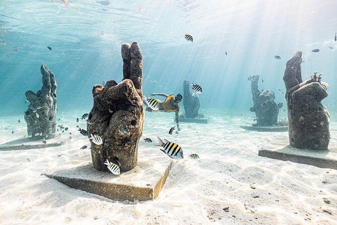 5-In-1 Cancun Snorkeling Tour:Swim With Turtles, Reef, Musa,Shipwreck and Cenote - Guide, Safety, and Overall Experience