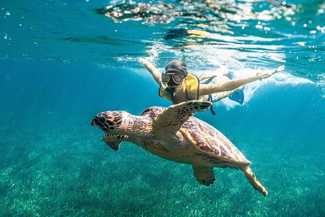 5-In-1 Cancun Snorkeling Tour:Swim With Turtles, Reef, Musa,Shipwreck and Cenote - Directions to Meeting Point