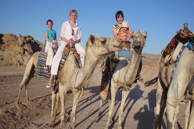 5 in 1 Desert Adventure in Sharm El Sheikh - Itinerary Details