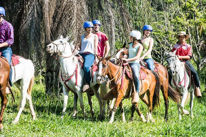 5-In-1 Rincon De La Vieja National Park Adventure Day Tour - Inclusions and Exclusions