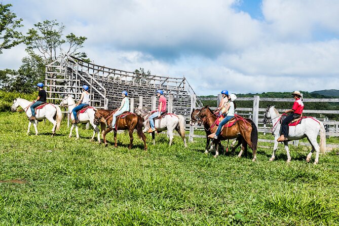 5-In-1 Rincon De La Vieja National Park Adventure Day Tour - Additional Information