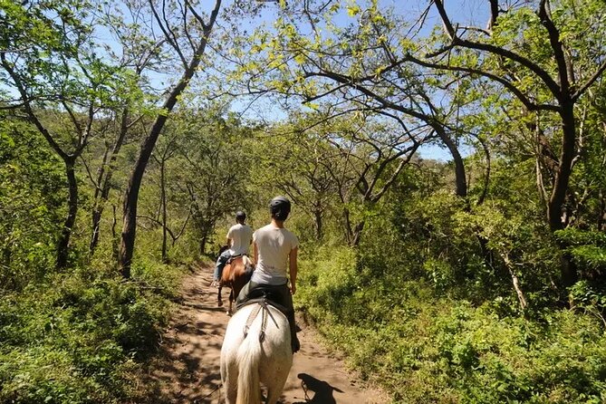 5-In-1 Rincon De La Vieja National Park Buena Vista Eco Adventure Day Tour - Tour Overview