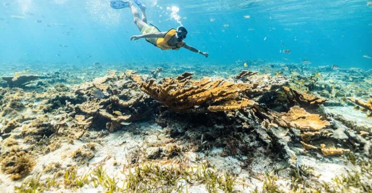 5 in 1 Snorkeling Boat Experience in Cancun - Itinerary Highlights