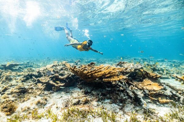 5 in 1 Snorkeling Boat Experience in Cancun - Turtle Spotting and Shipwreck Exploration