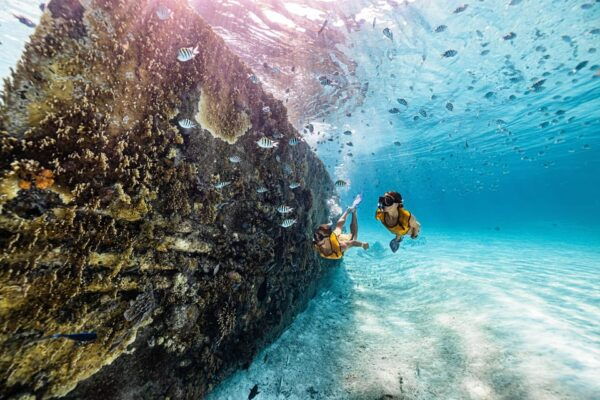 5 in 1 Snorkeling Boat Experience in Cancun - Inclusions