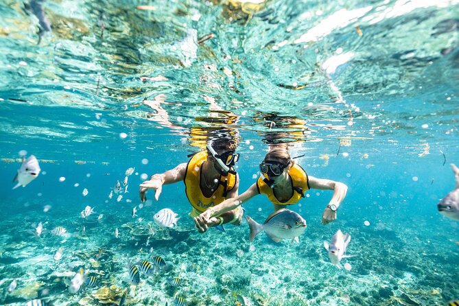 5 in 1 Snorkeling Boat Experience in Cancun - Price and Booking