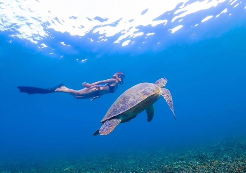 5 Islands Day Trip to Koh Nangyuan from Koh Tao - What the boat day feels like