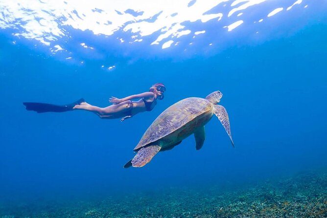 5 Islands Full-Day Tour Around Koh Tao and Koh Nangyuan - Highlights and Value for Money
