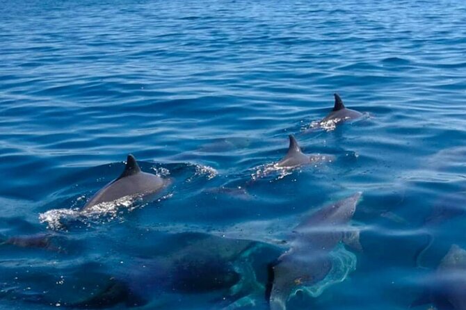 5 Islands South East Discovery Adventure - Tour Itinerary