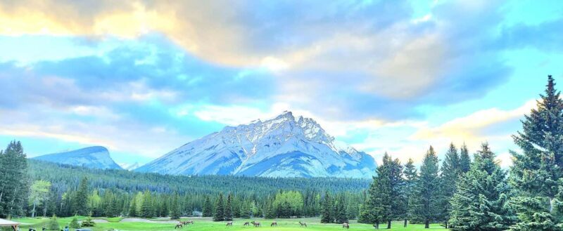 5 LAKES & 3 HIDDEN GEMS IN ONE DAY, TOTAL 8 PLACES - Value and Cost Considerations