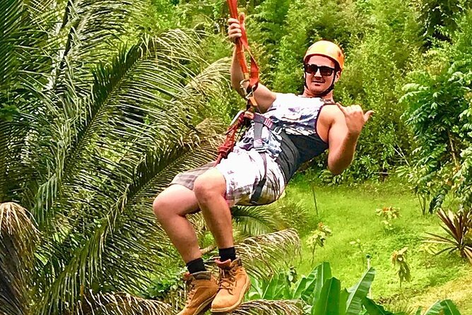 5 Line Jungle Zipline Eco Adventure - Cancellation Policy and Viator Help Center