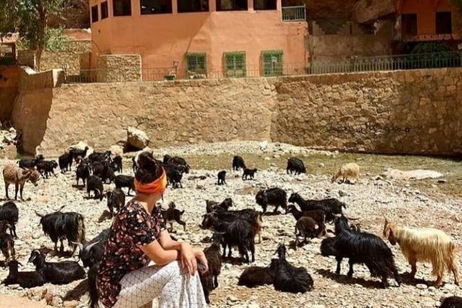 5 Luxury Days Marrakech to Fez via Aitben Haddou & Ouzoud Waterfalls - The Sum Up