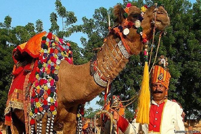 5 Night 6 Days Golden Triangle With Pushkar Tour - Price Details and Reviews
