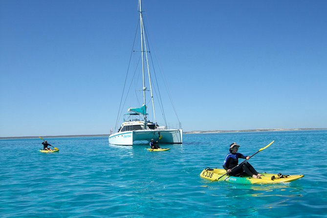 5 Night Ningaloo Reef Ningaloo Escape From Coral Bay - Explore the Vibrant Marine Life at Ningaloo Reef