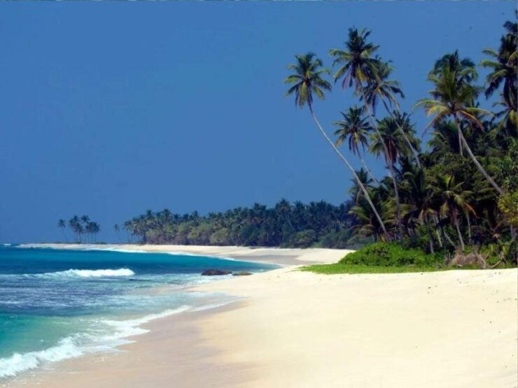 5 Nights 6 Days-Muslim Halal Tour With Beach Vacation - Accommodation and Transport Details
