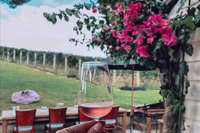 5 or 7 Hour Far End of Waiheke Scenic Wine Tour in Electric Vans - Traveler Photos
