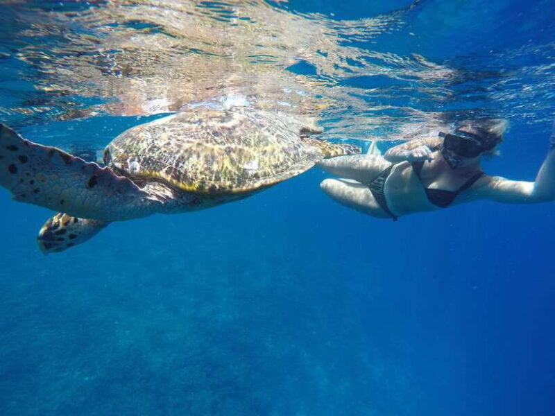 5 Secret Gili Boat Trip & Snorkeling in Southwest Of Lombok - Good To Know