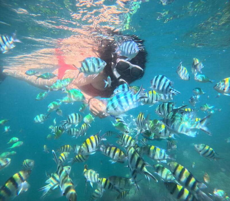 5 Secret Gili Boat Trip & Snorkeling in Southwest Of Lombok - The Sum Up: The Last Word