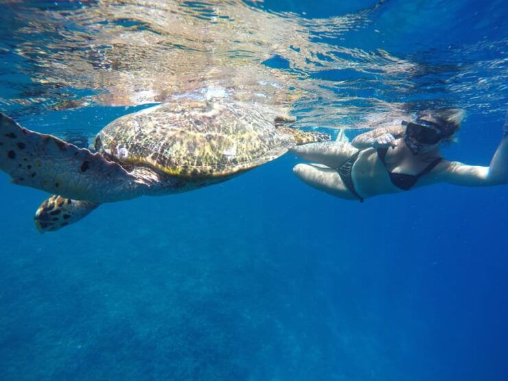 5 Secret Gili Boat Trip & Snorkeling in Southwest Of Lombok - Itinerary and Locations