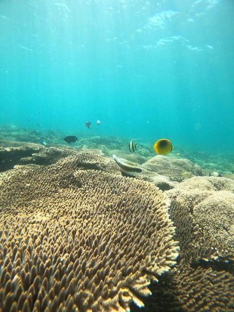 5 Secret Gili Boat Trip & Snorkeling in Southwest Of Lombok - Inclusions and Requirements