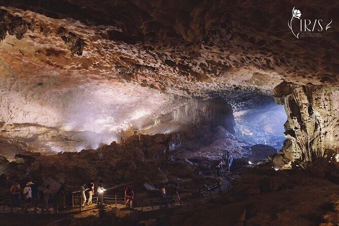 5 Star Halong Bay Day Cruise from Hanoi Jacuzzi Pool and Party - Value for Money and Practical Tips