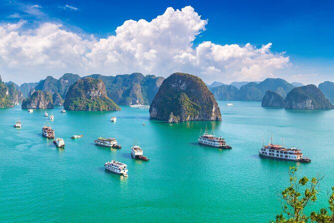 5-Star Halong Bay Day Cruise Limousine, Kayak & Seafood Lunch - FAQ