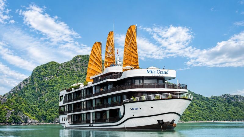 5-Star Premium 2D1N Cruise: Ha Long Bay & Lan Ha Bay - Day two: sunrise Tai Chi and Bright and Dark Cave
