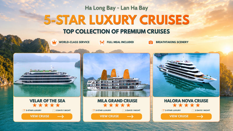 5-Star Premium 2D1N Cruise: Ha Long Bay & Lan Ha Bay - Practical points for a smoother trip