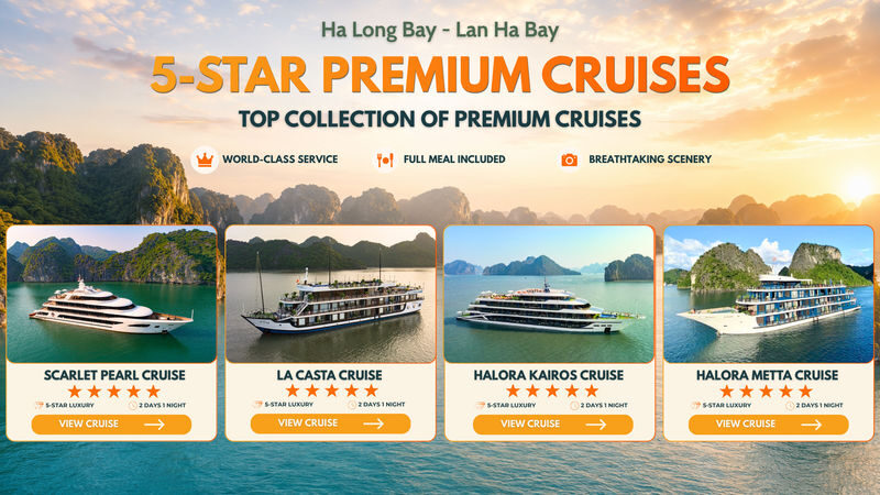 5-Star Premium 2D1N Cruise: Ha Long Bay & Lan Ha Bay - Should you book this Lan Ha Bay cruise?