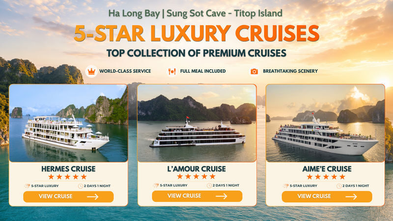 5-Star Premium 2D1N Cruise: Ha Long Bay with Sung Sot & Ti Top - What the price covers, and what it does not
