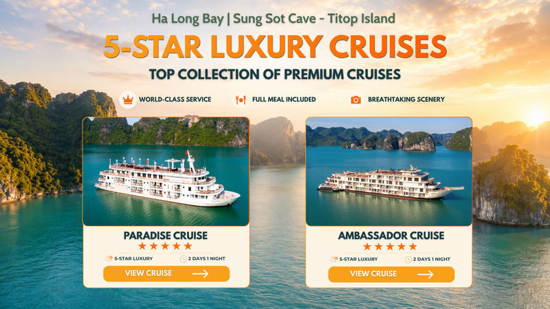 5-Star Premium 2D1N Cruise: Ha Long Bay with Sung Sot & Ti Top - Who will enjoy this cruise most