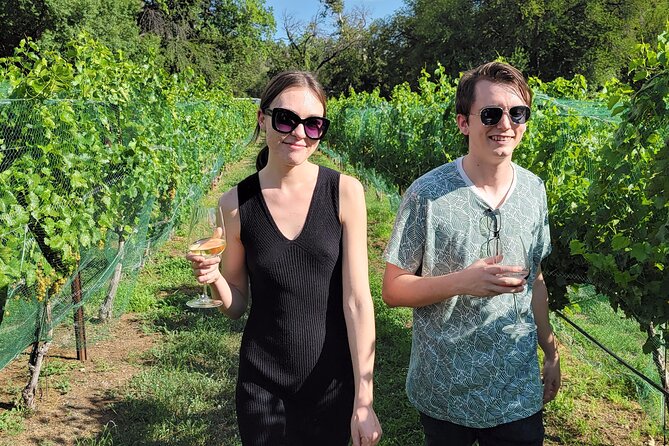 5 Star, Private Wine Tour, BEST in Town, TASTINGS INCLUDED! - Common Questions