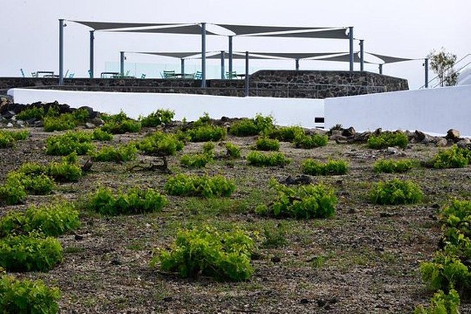 5 Towns in 5 Hours: Santorini Most Popular Tour With Wine Tasting - The Sum Up