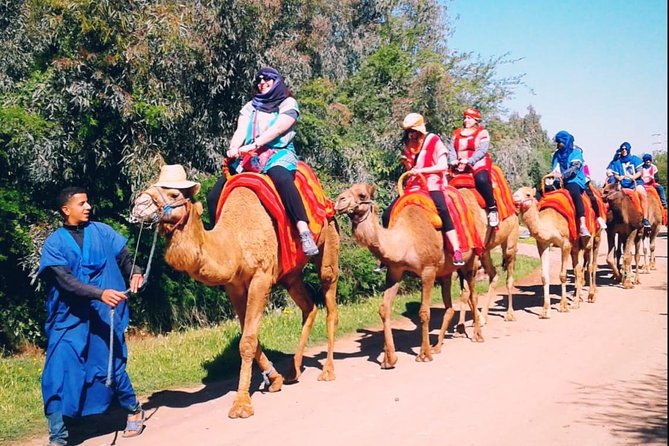 5 Valleys Atlas Mountains Day Trip From Marrakech With Camel Ride - Tour Start Time