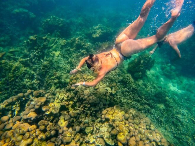 5 VIP Islands in Cartagena - Colombia From 390,000 - Gourmet Dining on the Islands