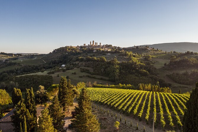 5 Wine Tastings in San Gimignano - Wine Tasting Experience in San Gimignano