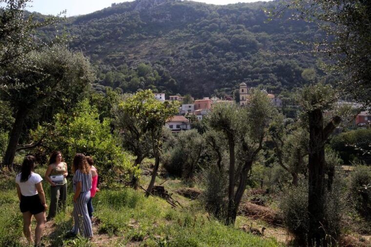 5 Wine Tastings With Typical Products in Sorrento Coast - Seasonal Delights: Vegetables and Culinary Traditions