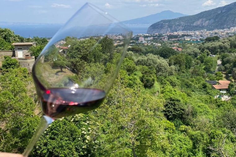 5 Wine Tastings With Typical Products in Sorrento Coast - The Sweet Finish: Limoncello and Sorrento Liqueurs