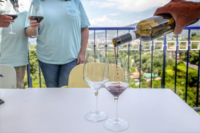 5 Wine Tastings With Typical Products in Sorrento Coast - Scenic Venue: A Hillside Experience