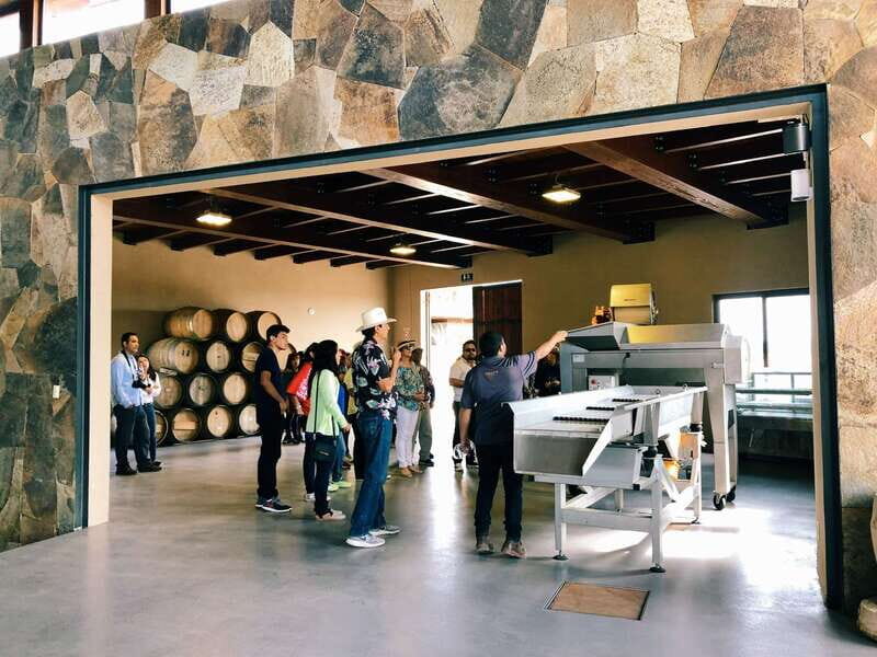 5 wines Tastings with Tour in Valle de Guadalupe Winery - A Closer Look at the Rondo del Valle Winery Tour