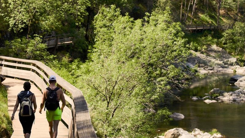 516 Arouca Bridge & Passadiços do Paiva One-day Nature Tour - How the guided format helps