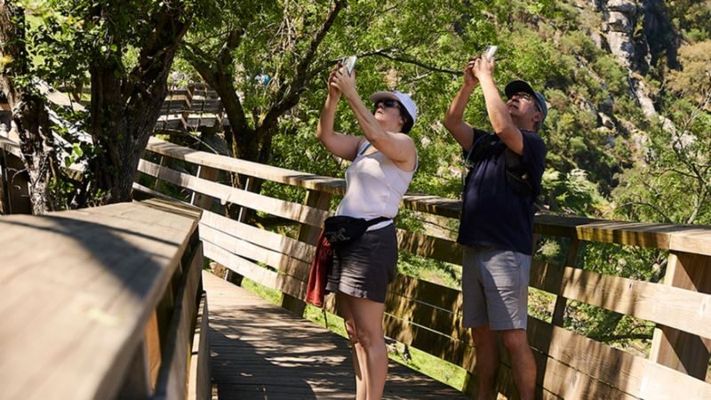 516 Arouca Bridge & Passadiços do Paiva One-day Nature Tour - Is $88.89 good value?