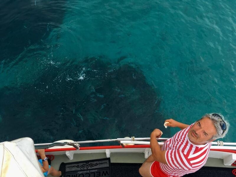 5,5h Plavnik Island: Swim & Snorkel with Capt. Bobo (Public) - Good To Know
