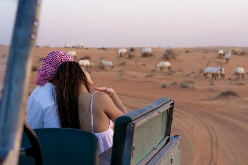 57 Luxury Heritage Desert Safari - A pickup that needs a little attention